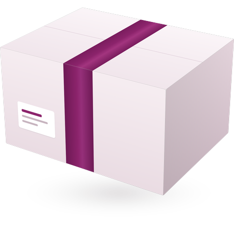 Free Shipping