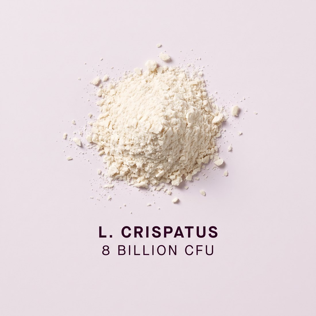 Lactobacillus crispatus